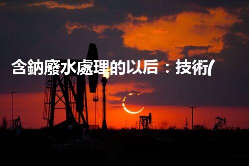 含鈉廢水處理的以后：技術(shù)革新與環(huán)保挑戰(zhàn)！